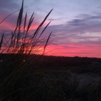 Morgentau - Single - Scholli