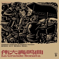 伟大奏鸣曲 La Grande Sonata - Vladimir Chekasin & Vladimir Tarasov