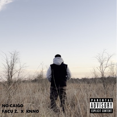 No Caigo - Single