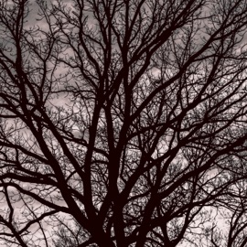 Rick Owens Wife God's Computer