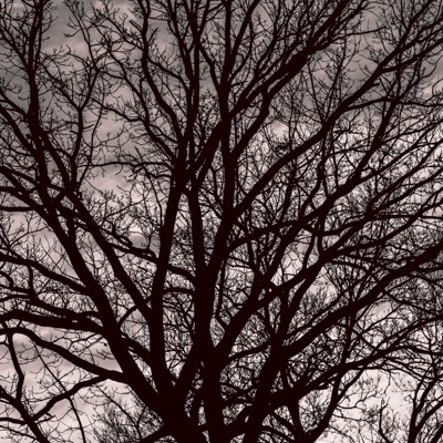 Rick Owens Wife - Single