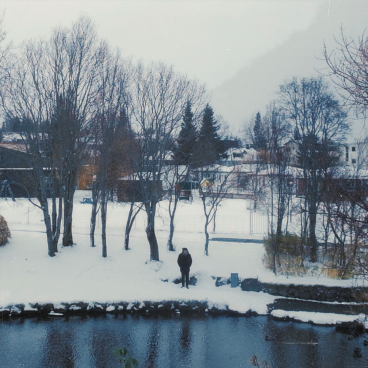 Axel Flóvent – In the Grass – Single (2026) [iTunes Plus AAC M4A]-新房子