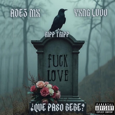 Que paso bebe (feat. Ripp tripp) - Single