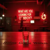 What are you looking for cowboy?