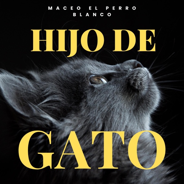 hijo de gato