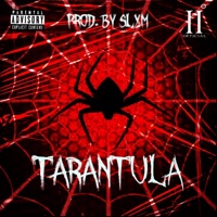 Tarantula - Single - 2 Degrees