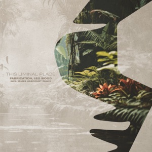 This Liminal Place - Single