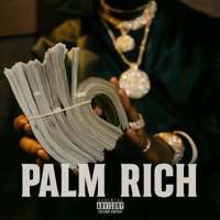 Palm Rich (feat. BigWalkDog & Finesse2tymes) - Single - Sentra