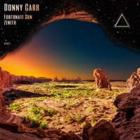 Fortunate Sun / Zenith - Single - Donny Carr