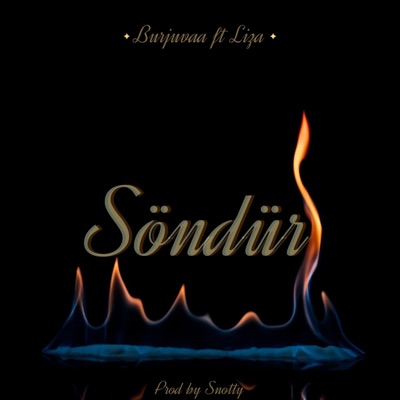 Söndür (feat. Liza) - Single
