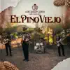 El Pino Viejo