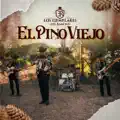 El Pino Viejo