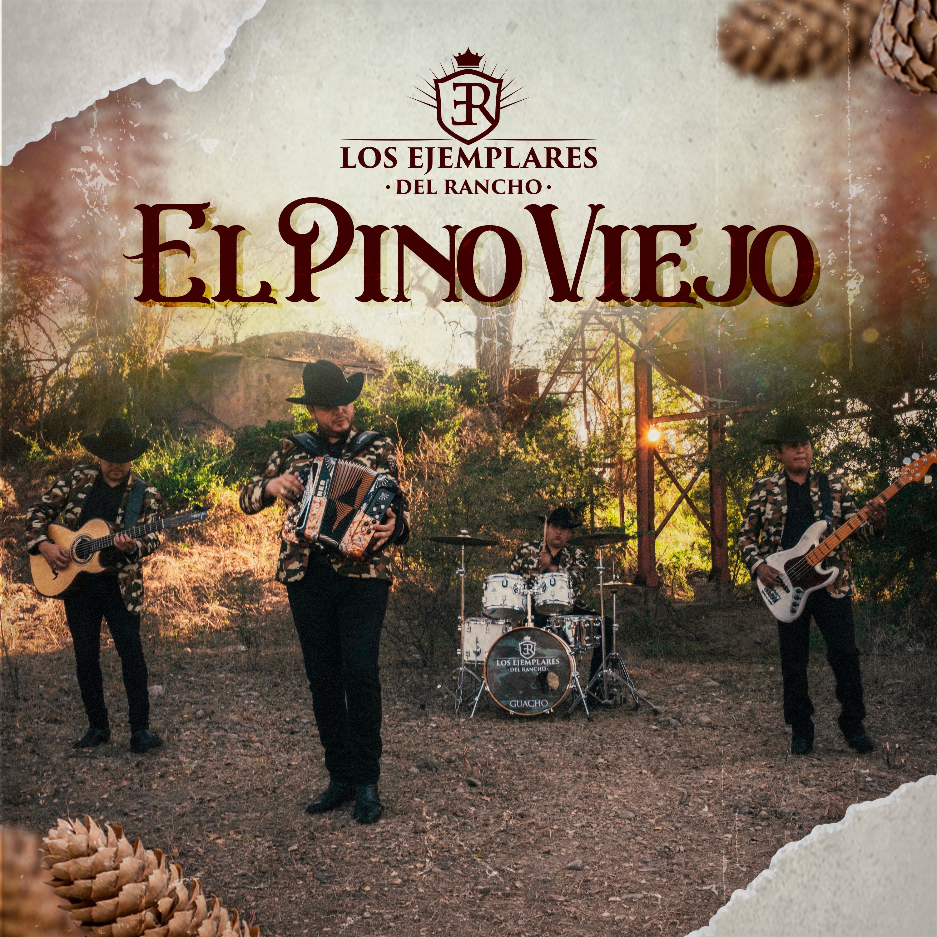 El Pino Viejo - Single