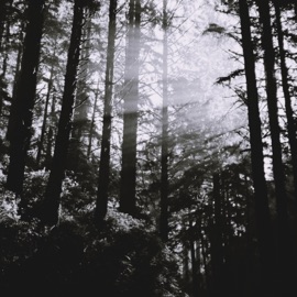 SAD IN THE ROOM Finnagain