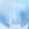 Breach