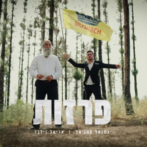 פרזות (feat. Ariel zilber)