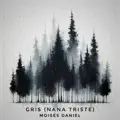 Gris