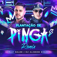 Plantação de Pinga (Remix) - Single - DJ Alissom Siqueira & Darlly Sales