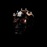 We're Not Scared In The Dark (With Kellin Quinn) - Single - The Hype & Kellin Quinn