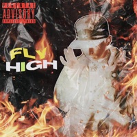 Fly High - Single - prettyboymusic