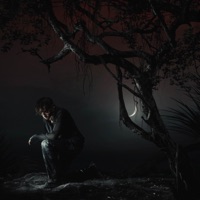 IF I HAD YOU... - Single - Chris Grey