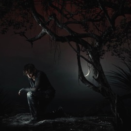 IF I HAD YOU... Chris Grey