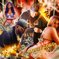 SHE LIKE LONG (feat. DA BOMB DON) [Radio Edit] - Single - BIG LOU STL