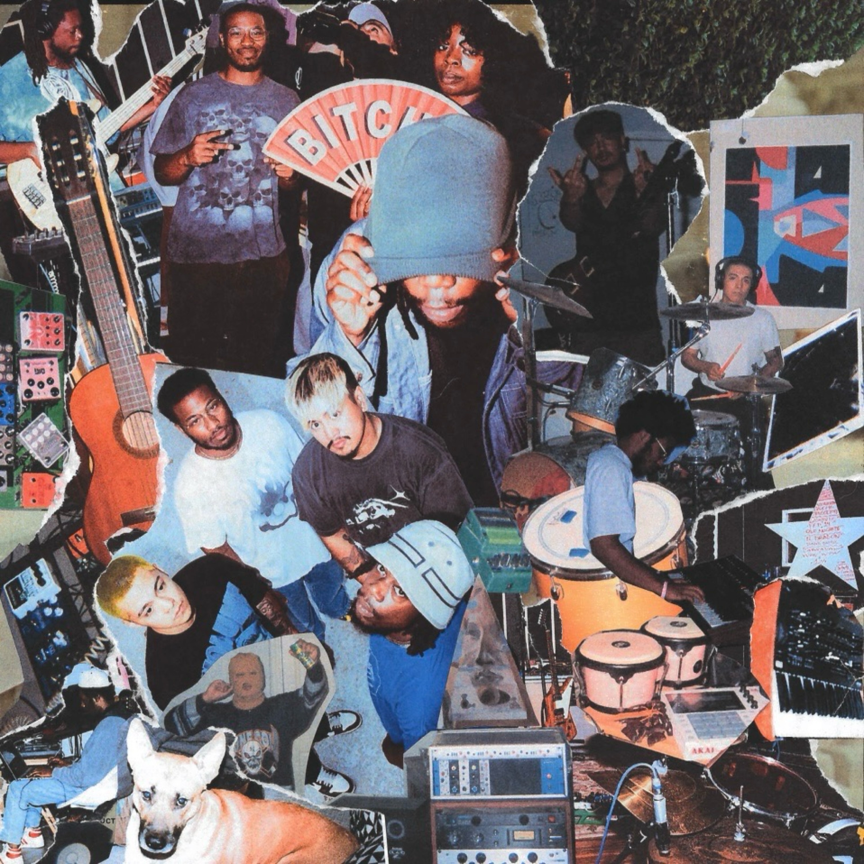 diptera - SUMMERTIME SWANGIN'