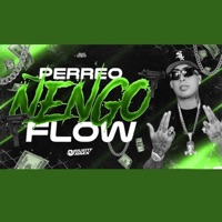 Perreo Ñengo Flow - Single - Fausttt rmx