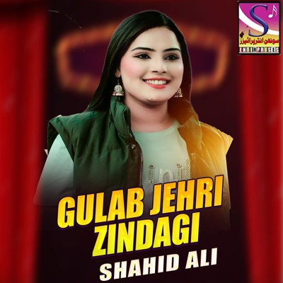 Gulab Jehri Zindagi - Single