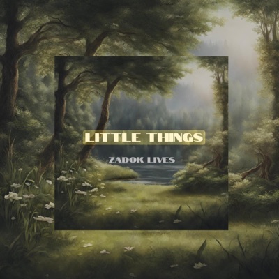 Little Things - Single