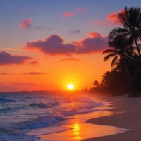 Rio - Single - Awada & 8$hots