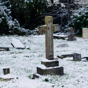 Halloween (The Album) - TayoFromOhio