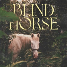 Mia Kelly - Blind Horse