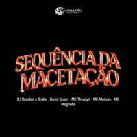 SEQUÊNCIA DA MACETAÇÃO (feat. Mc Magrinho) - Single - DJ Ronaldo o Brabo, David Super, MC Theuzyn & MC MEDUZA