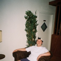 Living Room - looking at birds