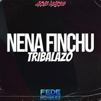 Nena Fichu (Tribalazo) (feat. Fede rodriguez) - Single - Agus Maldo