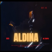 Aldina artwork