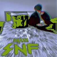SNF - Single - D. Maxx