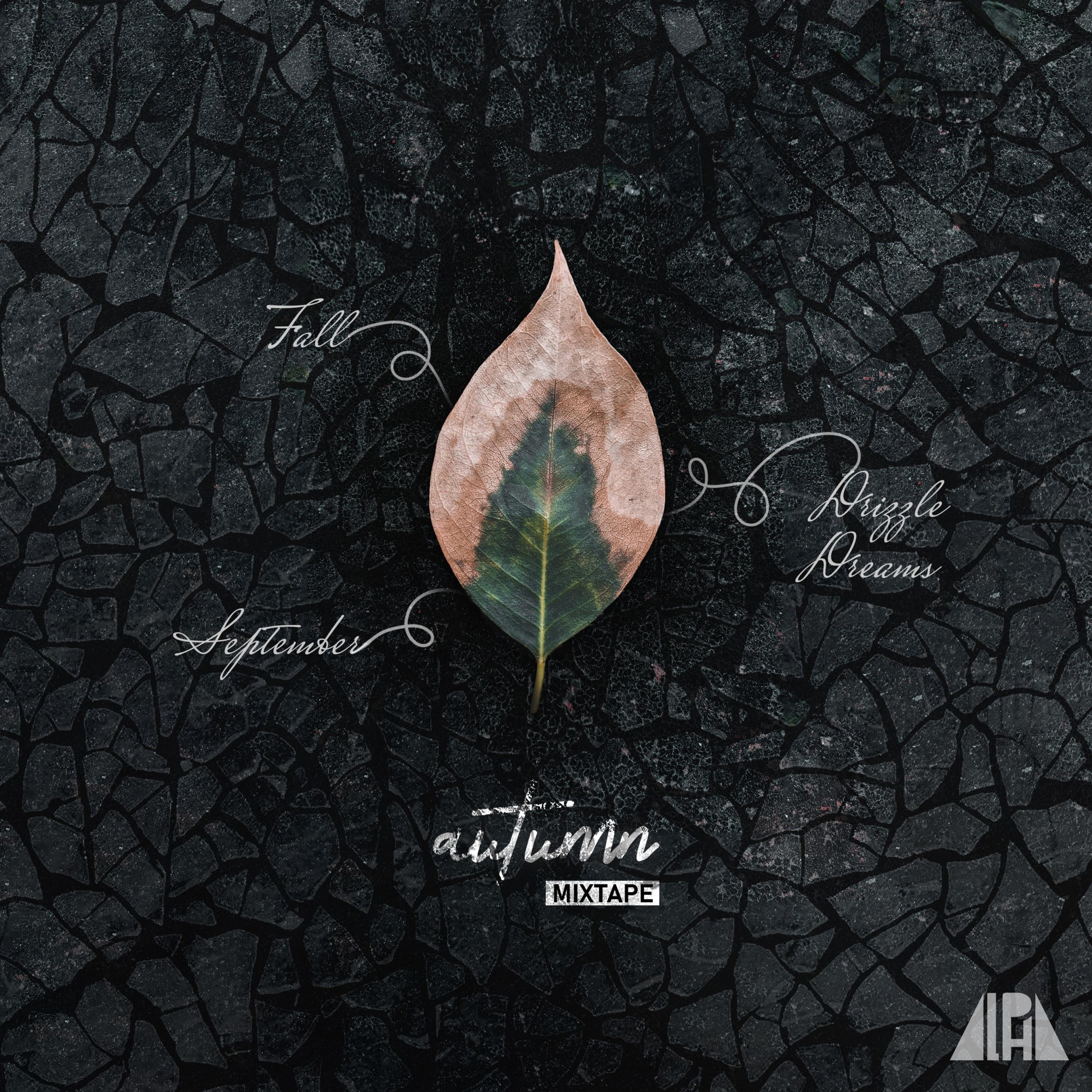 Now On Air: SPOT ALPHA PROPOLIS VERSI HIPERTENSI (SEPTEMBER 2023) - SPOT ALPHA PROPOLIS VERSI HIPERTENSI (SEPTEMBER 2023)