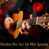 Perdón Por Ser Un Mal Amante