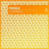 Tu Segredos - Single - Pedroz