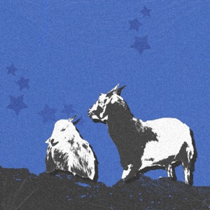 LATITUDE & LONGITUDE - Single
