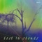 In the Night - Dharze lyrics