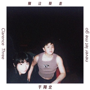 Never Let Me Go - Single