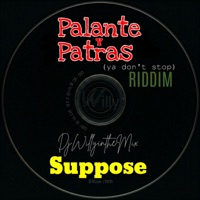 Pa Lante Pa Tras (feat. Suppose) [Ya Don't Stop Remix] - Single - DjWillyintheMix