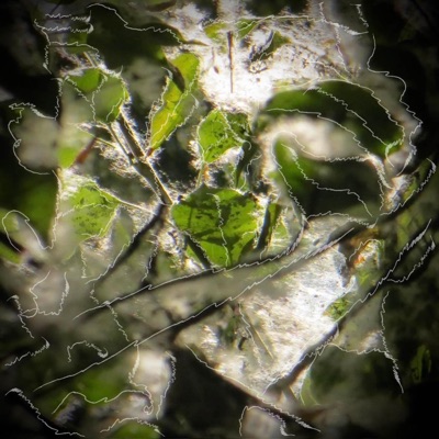 showers with sunny intervals - Single