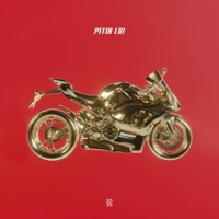 Ducati - Single - Pitin LRI