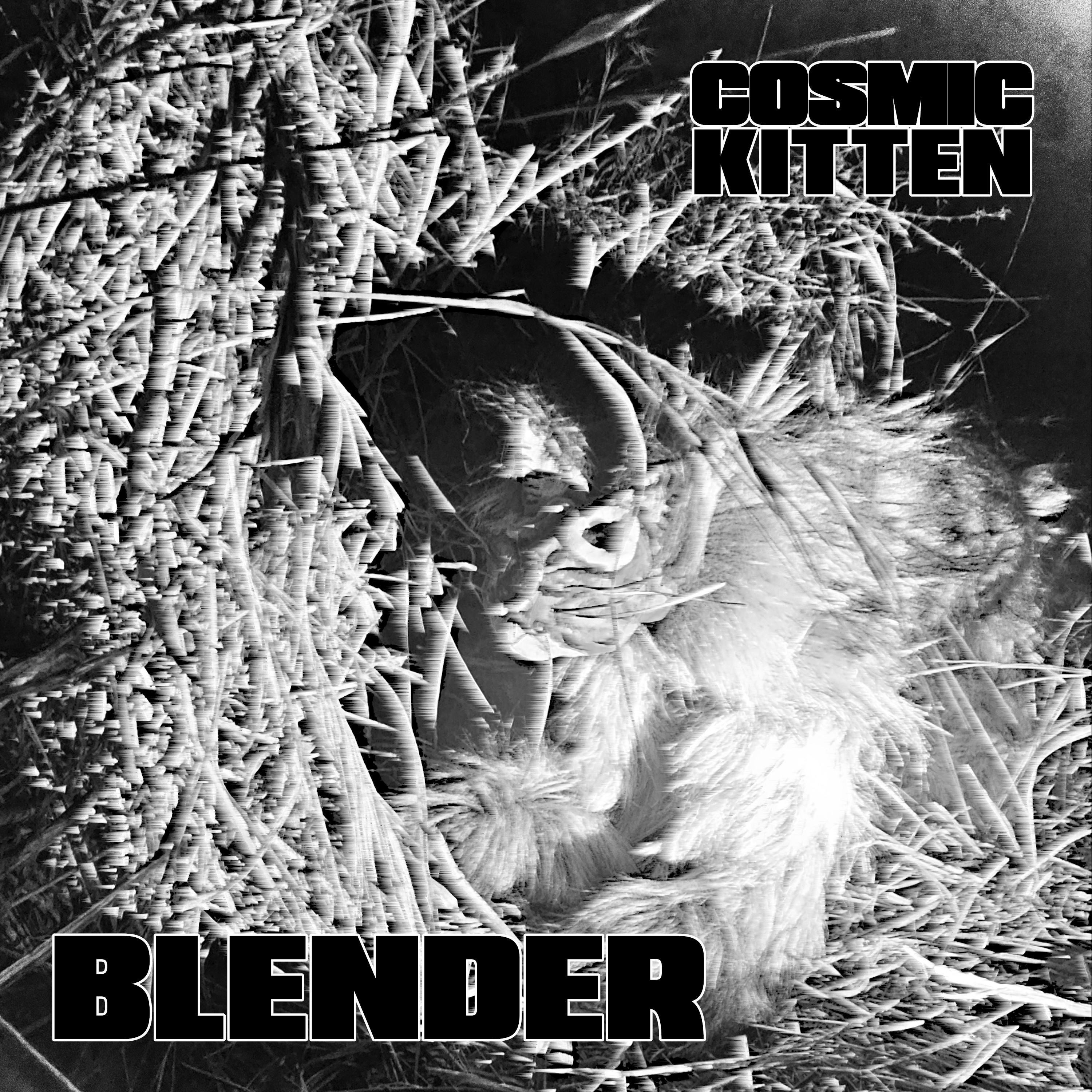 Blender - Single