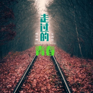 走过的青春 - Single